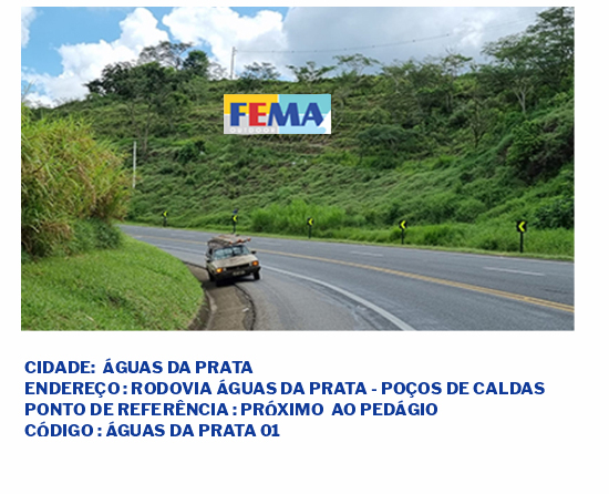 fema visual