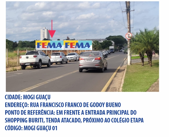 fema visual