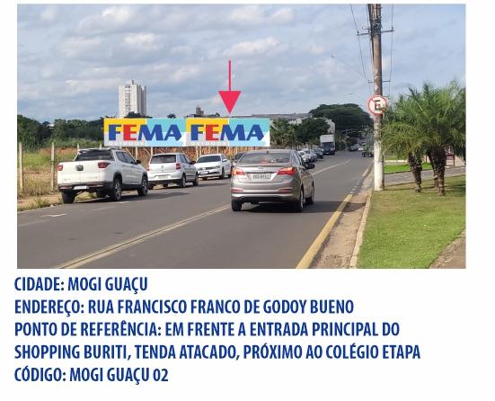 fema visual