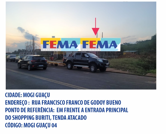fema visual