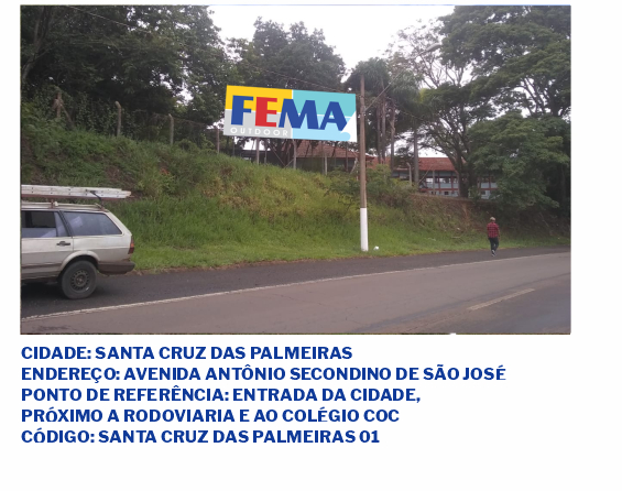 fema visual