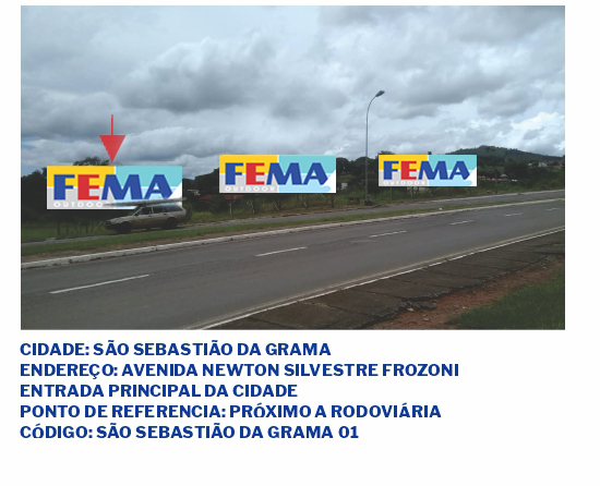 fema visual