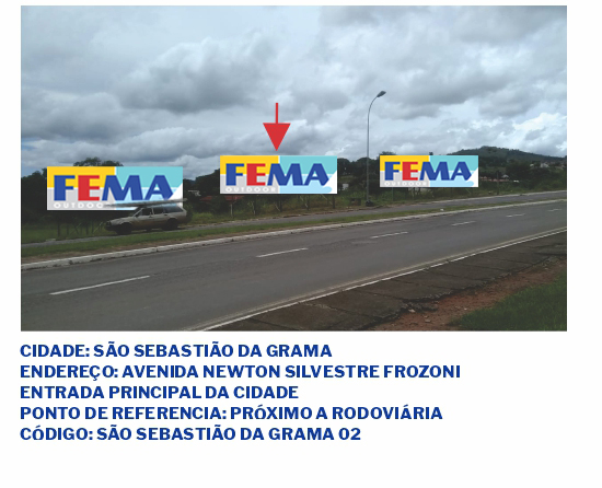 fema visual