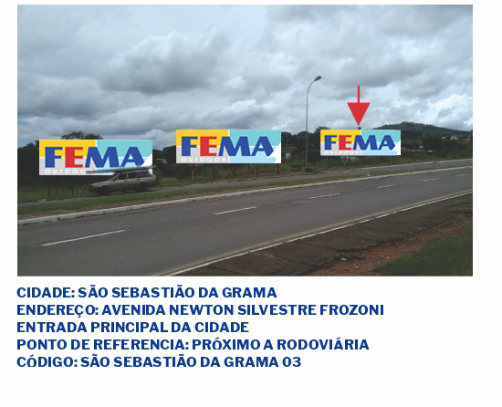 fema visual