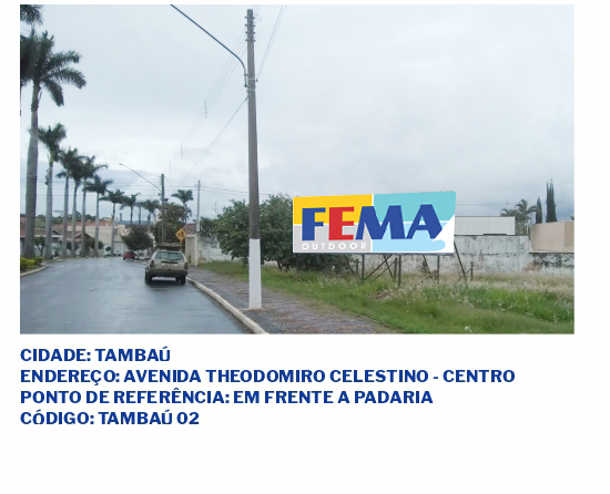 fema visual